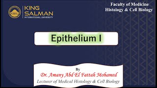 Introduction to Epithelial Tissue [upl. by Carolyne]