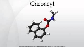 Carbaryl [upl. by Druce]