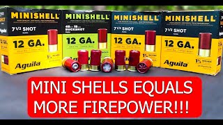 MINI SHELLS EQUALS MORE FIREPOWER [upl. by Garth415]