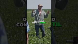 Why Weeds Appear During Flowering soilhealth weedcontrol [upl. by Aiceled]