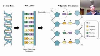 DNA for Forensic Science [upl. by Dorreg]