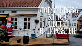 Цветочное шоу quotНашаquot кондитерская Воруют ли в Норвегии [upl. by Lertnom343]