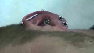 ☊ Conch Piercing Stretching ☊ Awesome but painful [upl. by Treble]