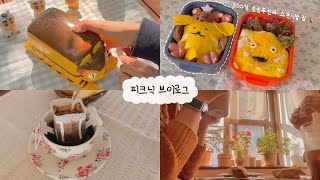 도시락 싸서 피크닉 가는 브이로그 🧺  폼폼푸린 맞습니다  대구카페투어 ☕️ [upl. by Sucramej317]