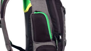 Dakine TEAM MISSION Pack TANNER HALL Ski backpack 25L [upl. by Akcirret]