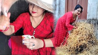 cow milking with beautiful hand  beautiful woman cow milking jaya ghosh [upl. by Aseram561]