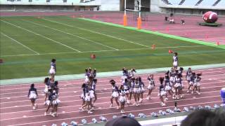 関西学院大学応援団総部チアリーダー部 DOLPHINS ２０１１・１１・２７ [upl. by Uticas]