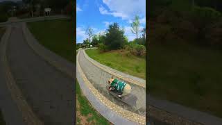 The dog and the owner play skateboard together so cool funny dog pets [upl. by Anitsirk]