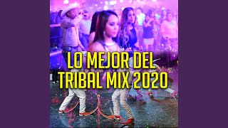 Lo Mejor Del Tribal Mix 2020 [upl. by Nyl]