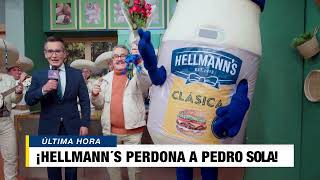 Hellmanns perdona a Pedrito Sola Publicidad [upl. by Mata]