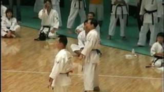 wado kai kata Chintou 和道会 全国大会日本武道館 形：チントウ [upl. by Sedecrem875]