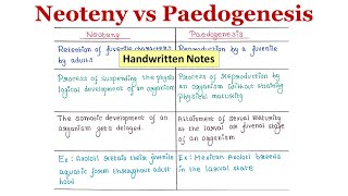 Neoteny Vs Paedogenesis  Handwritten notes [upl. by Adierf240]