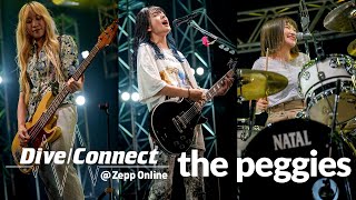 kiminosei  the peggies Live  Dive Connect  Zepp Online [upl. by Mauricio]