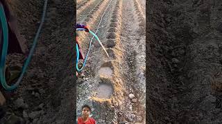 Irrigation fruit agriculture agriculturefarming farmering vegetablefarming facts [upl. by Eladnor216]