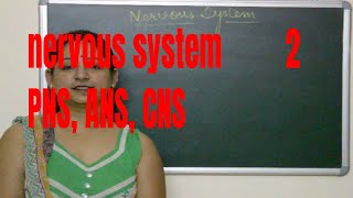 Types of Nervous systemCNSPNSANSExplained BIOLOGY  ICSE CBSE Board Exams [upl. by Anivle]