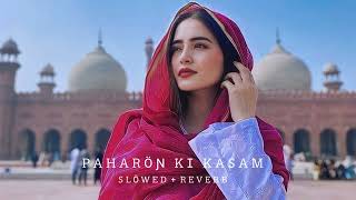 PAHARON KI KASAM  SLOWED  REVERB  FULL ALBUM LOFI SONG  SHAN KHAN [upl. by Icnarf]