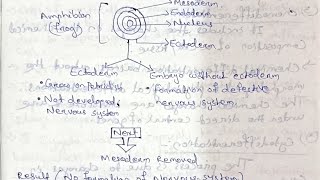 Developmental biology Gametogenesis and Fertilization bsczoology zoology notes [upl. by Aisinut]