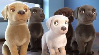 TOP 10 ANIMATED DOG MOVIES [upl. by Kreegar547]