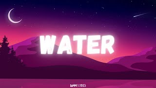 Tyla  Water Lyrics [upl. by Norward]