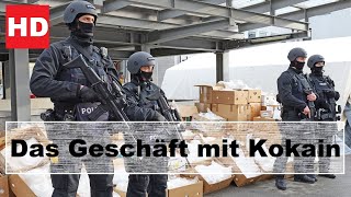 Die Killerdroge Kokain Einblicke in das blutige Business der Kartelle  Doku HD [upl. by Malloch192]