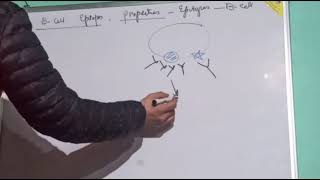 Topic B and T cell epitopes [upl. by Dehlia]