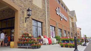 Wegmans Wilmington [upl. by Medin106]