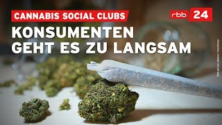 Wie sich Berliner Social Clubs auf den CannabisAnbau vorbereiten [upl. by Madriene]