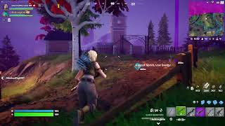 FORTNITE LIVE [upl. by Udall]