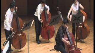 Kontrabass Konzert EDur  ⅠAllegro moderato [upl. by Leler]