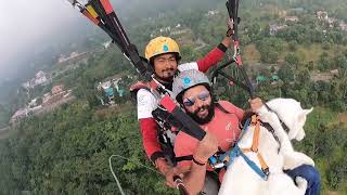 Paragliding with a Dog  Seriously [upl. by Einaeg]