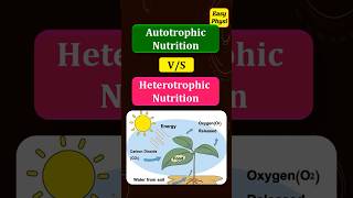 Autotrophic Nutrition vs Heterotrophic Nutrition Class 10 Chapter 1 [upl. by Anthiathia]