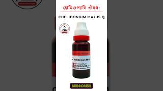 Chelidonium Majus homeopathic medicine চেলিডোনিয়াম হোমিওপ্যাথিক মেডিসিন হোমিও ঔষধ lycopodium 200 [upl. by Bridgette579]