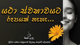 යථා ස්භාවයට රූපයක් නැහැ  Ven Aluthgamgoda Gnanaweera Thero  නිහඬ අරණ [upl. by Eitsyrhc259]