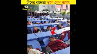 china school sleeping by শিক্ষার পথ [upl. by Akcimahs]