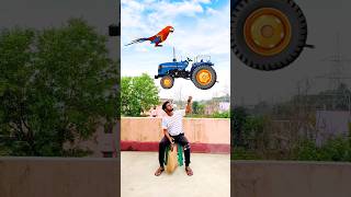 Catching big hen cycle girl horse vs giant frog amp tractor  Funny vfx magic 😄 [upl. by Mairim287]