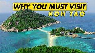 Why You MUST VISIT Koh Tao Best of Thailand [upl. by Kampmeier]