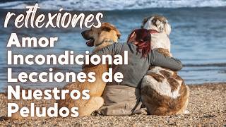 ¿Por Qué los Perros Son los Mejores Amigos del Hombre Reflexiones [upl. by Llehcor]