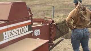 How To Turn Round Bales Into Square Bales [upl. by Godiva]