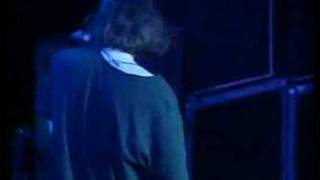 Gin Blossoms  Until I Fall Away Live in Chicago [upl. by Follansbee]