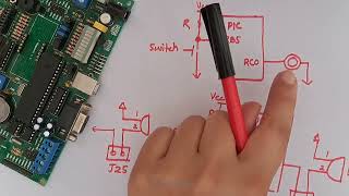 Interfacing a Buzzer with PIC18F4550 Microcontroller  Development Board [upl. by Rae]