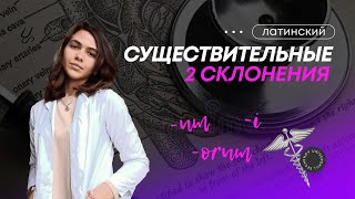 Существительные 2 склонения [upl. by Estevan]