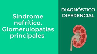 Diagnóstico Diferencial Síndrome nefrítico Glomerulopatías principales [upl. by Whorton]