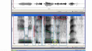 Step by step through a spectrogram [upl. by Yila]