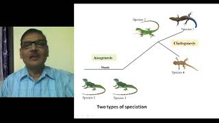 Modes of Speciation Formation of New Species [upl. by Aneehsal150]