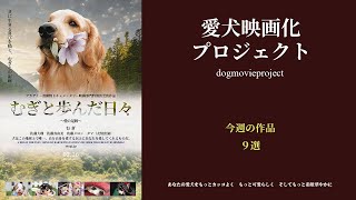 愛犬映画化プロジェクト 今週の作品９選 [upl. by Ahsinra]