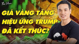 VÌ SAO VÀNG TĂNG GIÁ TRỞ LẠI LIỆU HẾT SỢ HIỆU ỨNG DONALD TRUMP LÀM TỔNG THỐNG MỸ [upl. by Wilow]