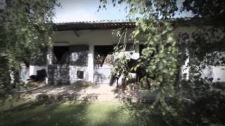 Teaser  Pamfou Dressage 2015 [upl. by Alysa406]