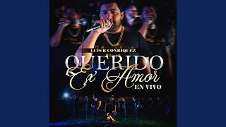 Querido Ex Amor En Vivo [upl. by Meehahs]