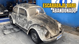 ¡ESTA ES EL ESCARABAJO MÁS FAMOSO DEL MUNDO LAVADO DE COCHE [upl. by Yeung164]