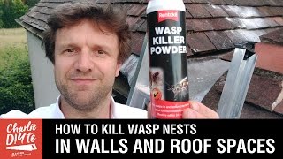 How to Kill Wasps Nests in Walls and Roof Spaces [upl. by Ielerol]